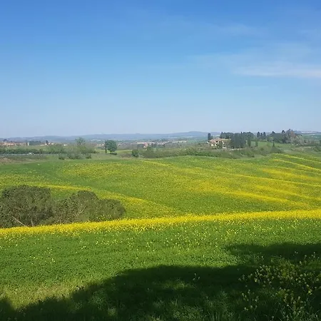 Gli Ulivi Di بيت للعطل سيينا