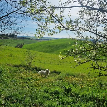 Feriehus Gli Ulivi Di *