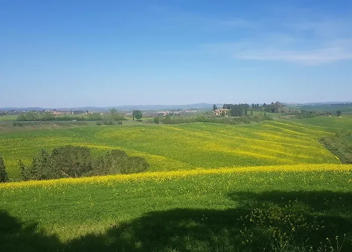 Gli Ulivi Di Semesterbostad Siena