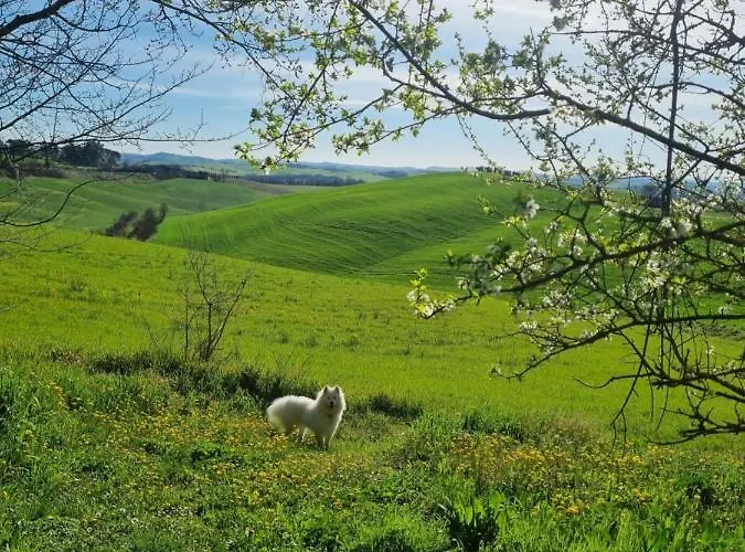 بيت للعطل Gli Ulivi Di *