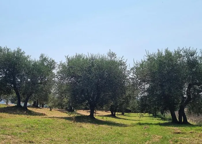 بيت للعطل Gli Ulivi Di