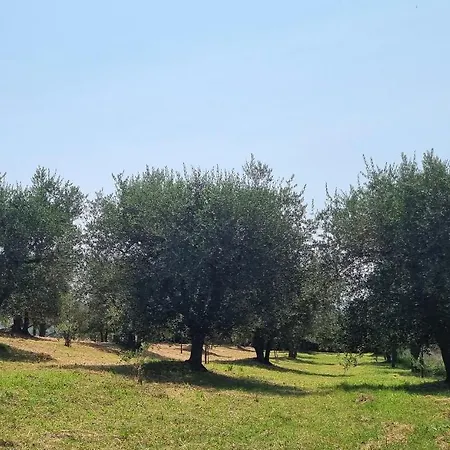 度假居 Gli Ulivi Di